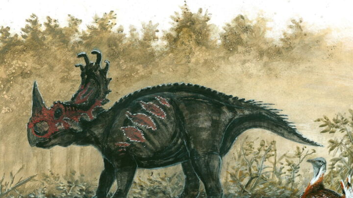 В Калифорнии обнаружили живое существо времен динозавров